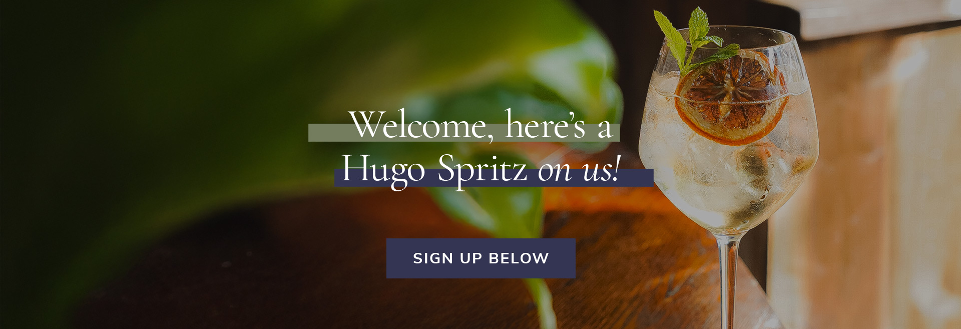 Sign up to the newsletter at The Market Tavern